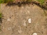 image of grave number 647912